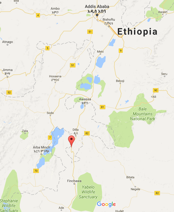 Republica Coffee Roasters Ethiopia Yirgacheffe